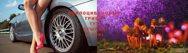 первитин Дмитровск