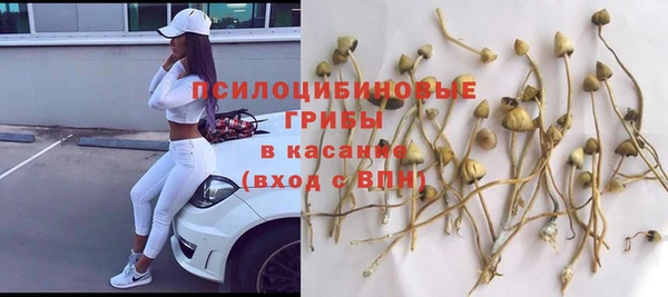 соль курить ск Дмитриев