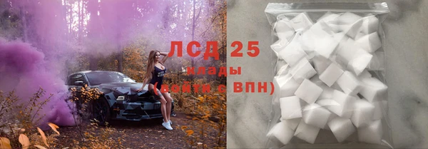 тгк Дмитров