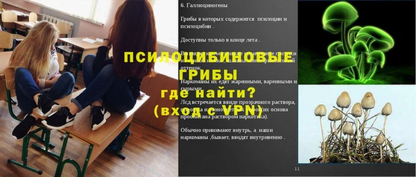 тгк Дмитров